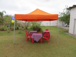 IMG_1330 (Copy)
